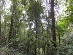 50255DSC02056.JPG