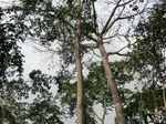 48106CIMG4443.JPG