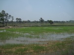 34521IMG_5504.JPG