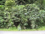 5411732.jpg