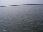 555R0015101.jpg