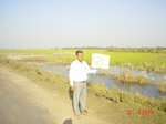 11327gt121-wetland-cropland-1.jpg