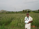 13355037a-irrigated-supplemental-groundwater-sugarcane-millet-sorgum-doublecrop.gif
