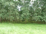 20400P1020257.JPG