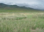 275992003-Q1.JPG