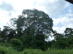 20633P1020490.JPG