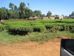 32130IMG_0322.JPG