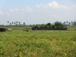 30275CIMG1809.JPG