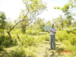 6489gt024-shrubland-forest-1.jpg
