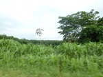 20416P1020273.JPG