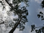 46128CIMG0417.JPG
