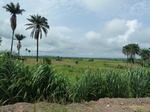 18197P1000033.JPG