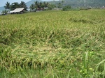 15446IMG_4322.JPG