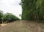 50569CIMG1198.JPG