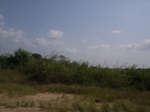 8979RIMG0054.JPG