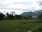 16367IMG_5151.JPG