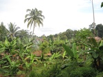 14589IMG_4956.JPG