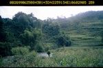 40445ANH1259.JPG