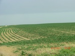 29728CIMG1043.JPG
