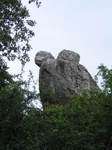 1047335-forest-rockout-crops-closelook-b.gif