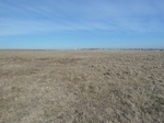 54043P1020200.JPG