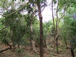 1723320042008(20).JPG