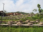 14686IMG_5067.JPG