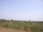 9047RIMG0125.JPG