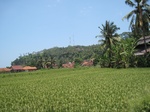 15451IMG_4327.JPG