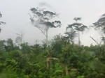 49910CIMG6247.JPG