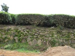 32202Picture 944.jpg