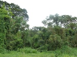 20085P1010936.JPG