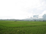 14652IMG_5033.JPG