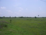 28242RIMG0242.JPG