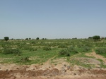 19170P1010016.JPG