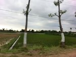 31748CIMG1616.JPG