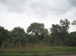 14365IMG_4707.JPG