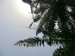46900CIMG3237.JPG