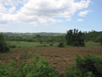 32127IMG_0177.JPG