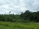 25718P1020135.JPG