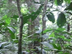 48007CIMG4344.JPG
