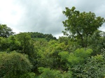 18787P1000625.JPG
