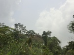 47942CIMG4279.JPG