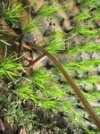 14663IMG_5044.JPG