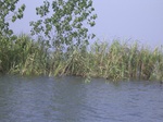 647R0015155.jpg