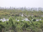 654R0015162.jpg