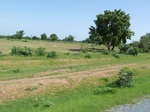 19478P1010325.JPG