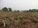 45832CIMG2917.JPG