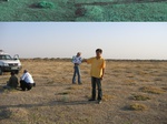 11593065-Rangeland-saline soil-b.jpg