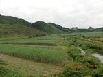 34747CIMG2575.JPG